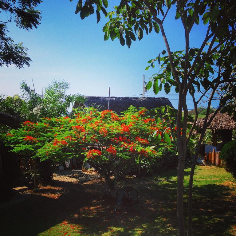 Hostal Los Orishas Ayampe Dış mekan fotoğraf