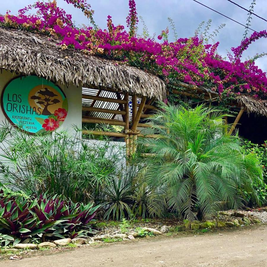 Hostal Los Orishas Ayampe Dış mekan fotoğraf